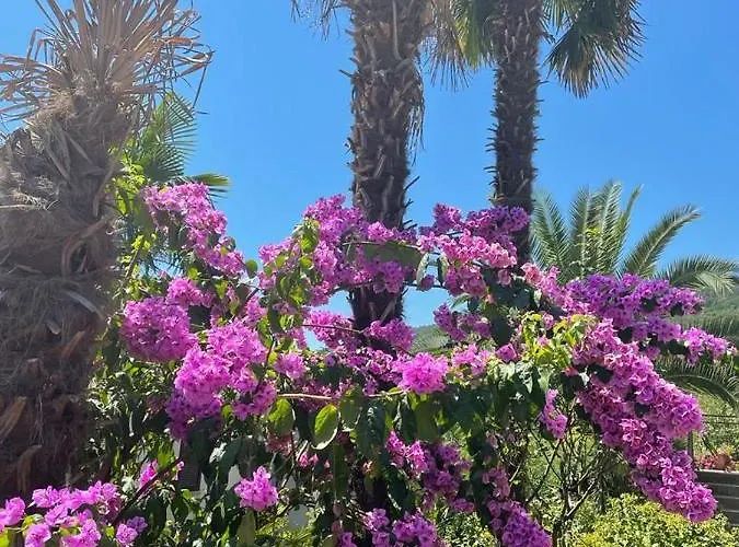 Mypalmassuite With Free Parking In דירה *